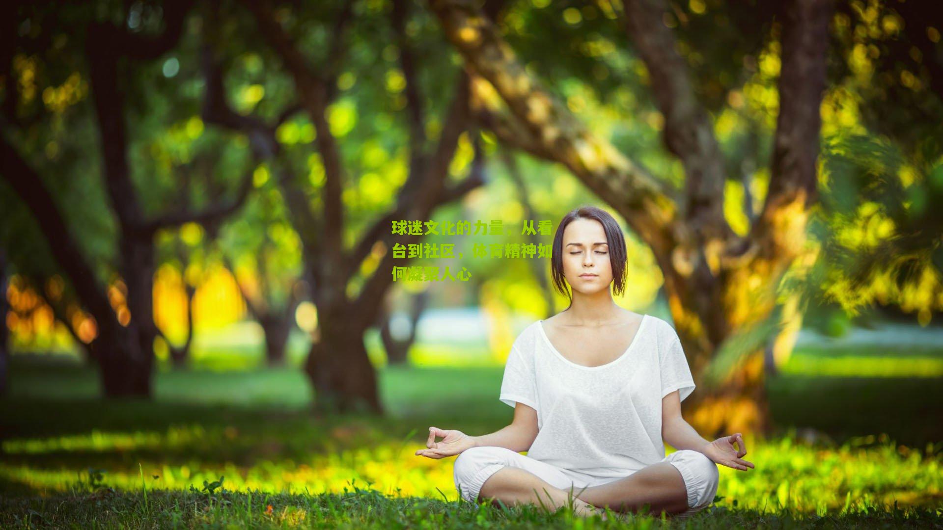 球迷文化的力量，从看台到社区，体育精神如何凝聚人心